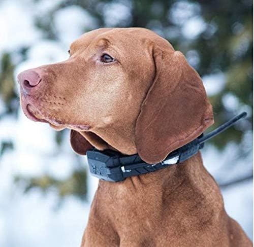 Collier supplémentaire pour GPS pour chien sans abonnement DOGTRACE X20