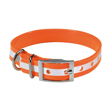 COLLIER CHIEN PHOSPHORESCENT 45 CM