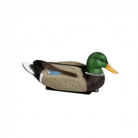 COLVERT MAGNUM MALE