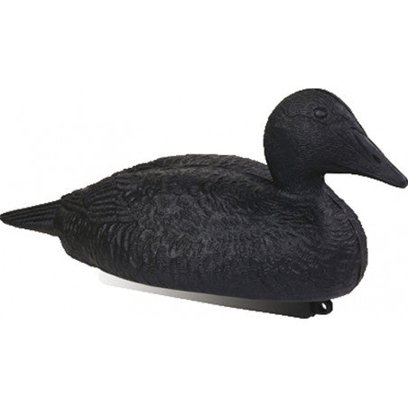 EIDER NOIR