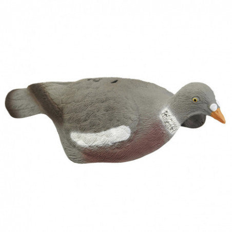 PIGEON DEMI COQUE